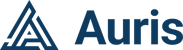 wordmark_blue_transparent